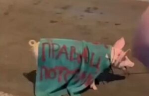 Sporna scena na protestima u Novom Sadu izazvala osude: Natpis koji podsjeća na tragediju u Srebrenici izazvao ogorčenje